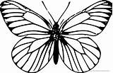 Schmetterling Malvorlagen Malvorlage Tiere Schmetterlinge sketch template