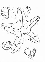 Starfish Rozgwiazda Kolorowanki Getdrawings Dzieci Coloringbay Bestcoloringpagesforkids sketch template
