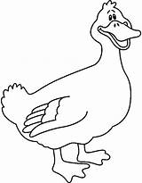 Duck Clipart Clip Outline Drawing Duckling Ducks Cliparts Line Carson Coloring Mummy Ces Index Farm Clipartbest Library Panda Bw Pages sketch template