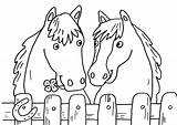Pferde Ausmalen Ausmalbild Malvorlagen Malvorlage Kostenlose Zaun Schule Pferd Pferdebilder Einem Kostenlosen Hufeisen Liebe Malbuch Reiterin Pferden Einzige Augen Ponys sketch template
