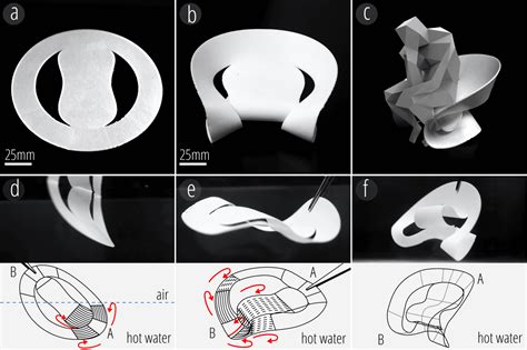 printing process  build shapes  fold themsel