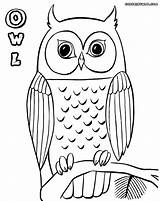 Owl Branch Coloring Pages Getdrawings Drawing sketch template