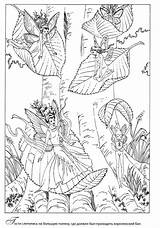 Coloring Pages Fairy Fantasy Adult Colouring Forest Wings Choose Board Books Myth Mystical Nymph Mythical Sprite Elves Fae Faries Elf sketch template