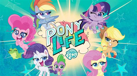 raritygallery   pony pony life wiki fandom