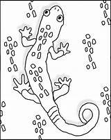 Gecko Coloring Pages Colouring Kids Template Drawing Sheets Printable Geico Salamandra Getdrawings Print Library Clipart Choose Board sketch template