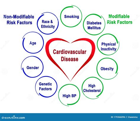 risk factors for cardiovascular disease stock illustration