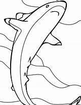 Shark Coloring Pages Clark Color Getcolorings sketch template