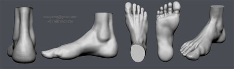 feet  model