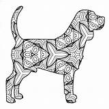Mandala Beagle Labrador Coloring4free Adults Coloringbay Cottage sketch template