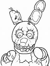 Springtrap Fnaf Animatronics Trap Freddy Coloring4free Mycoloring sketch template