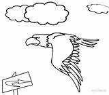 Coloring Bald Pages Eagle sketch template
