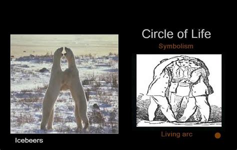 circle  life arc symbolism living arc spirit   news