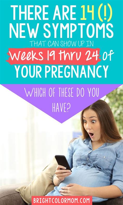 pin on pregnancy trimesters week by week
