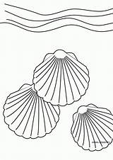 Coloring Shell Pages Shells Sea Seashell Printable Para Clipart Colorear Colouring Small Conchas Dibujo Kids Coquillage Library Coloriage Popular Choose sketch template