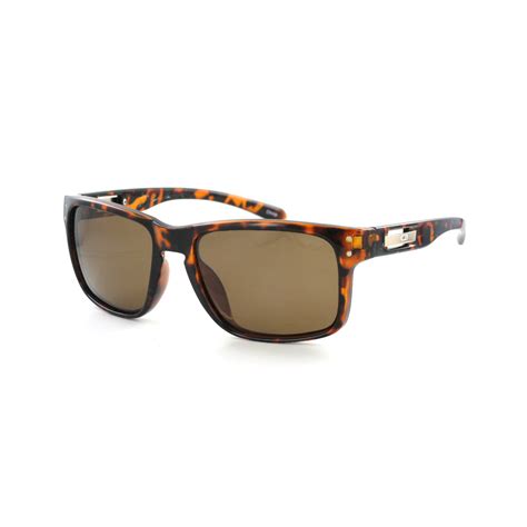 tortoise sunglasses tort brown lenses cb sport touch  modern