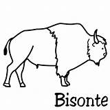 Bisontes Colorear Bisonte Aprender Aporta Deseo Pueda Utililidad sketch template