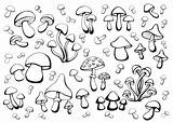 Mushrooms Vector Vecteezy Vectors sketch template