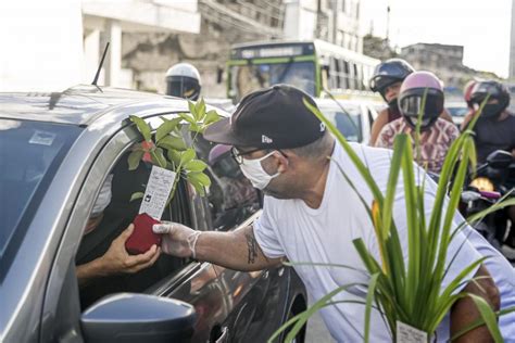 Prefeitura Do Recife Distribui Mudas De Plantas Para Celebrar Dia