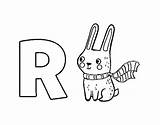 Rabbit Coloring Coloringcrew sketch template