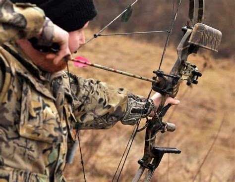 basics bow hunting  beginners targetcrazycom