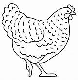 Hen Coloring Animals Printable Pages sketch template