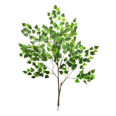cm medium birch branch sincerefloral