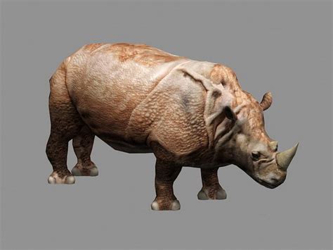 animated rhinoceros rig  model autodesk fbxuniversal  files   modeling