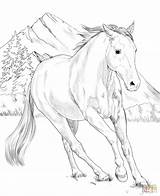 Coloring Paint Horse American Pages Printable Horses Kids Adult Supercoloring Print Cool Books Etsy Choose Board Beautiful Animal A4 Categories sketch template