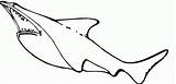 Kolorowanki Rekiny Rekin Squalo Dzieci Bestcoloringpagesforkids Druku Sharks Pobrania Mega Wydruku sketch template