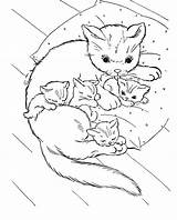 Coloring Pages Cat Mother Sheets Kitten Choose Board sketch template
