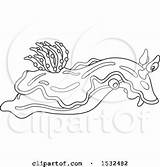 Slug Nudibranch Clipartof Asd6 sketch template