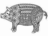 Pig Coloring Chinese Year Pages Zentangle Adult Sheets Detailed Pigs Sheet Years Colouring Mandala Animals Books Farm Animal Line Clip sketch template
