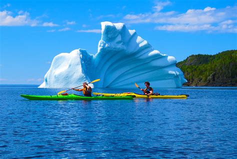 sea kayaking adventures newfoundland