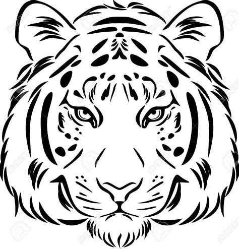 tiger outline drawing  getdrawings