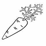 Carrot Coloring Pages Post sketch template