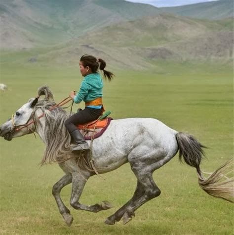 mongolia horse inspiration animal planet beautiful horses