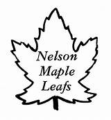 Leafs sketch template