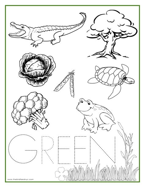 color green coloring pages    color green