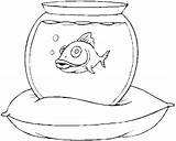 Bowl Coloring Fish Animals sketch template
