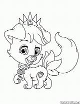 Coloring Pages Buddy Puppy Colorkid Pets sketch template