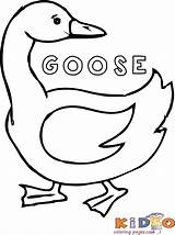 Kidocoloringpages Deanna Coloringhome Geese sketch template