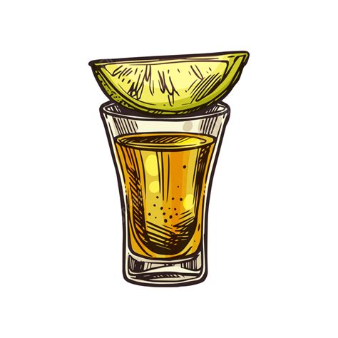 lime isolated vector png images glass  mexican tequila  lime