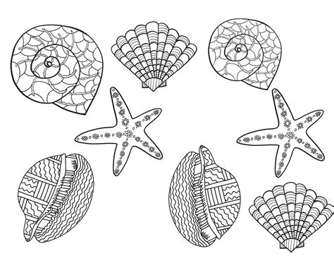 shells  printable coloring page stevie doodles