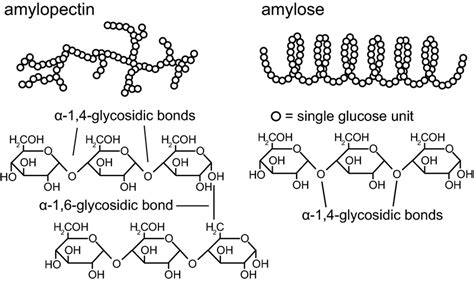 chemical structure   corn starch constituting natural polymers