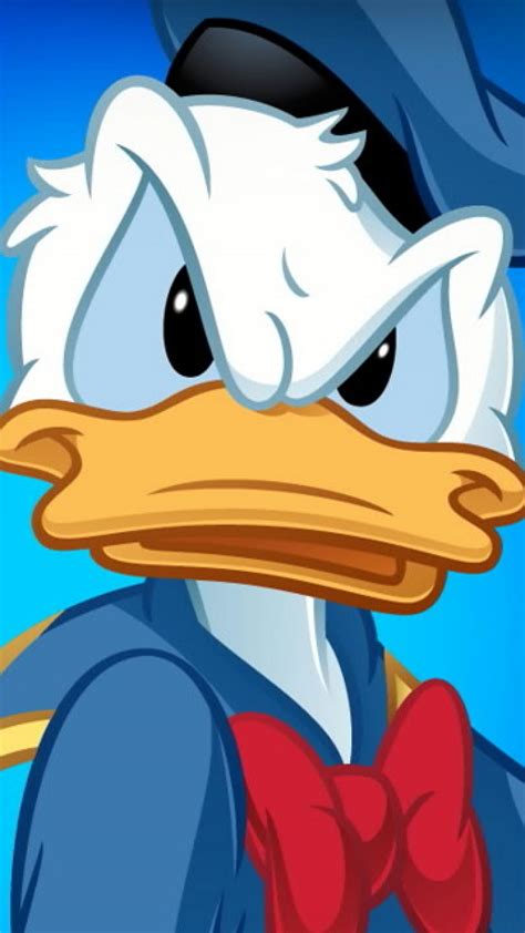 hd wallpaper  donald duck collection