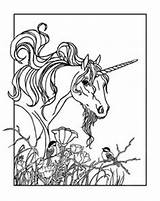 Coloring Adult Pages Color Unicorn Sheets Printable Horse Books Book Beautiful sketch template