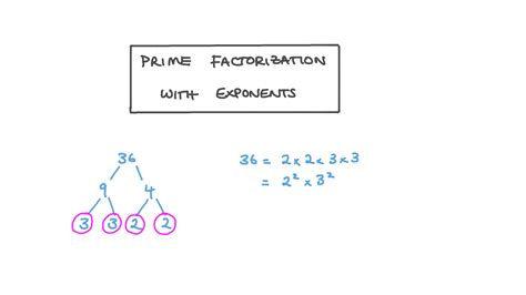 lesson video prime factorization  exponents nagwa