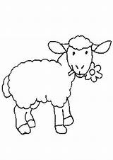 Schaf Tiere sketch template