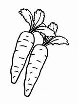 Carrot Coloring Pages Radish Vegetables Printable Nose Kids Color Template Getcolorings Bunny Getdrawings sketch template