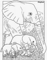 Coloring Animal Pages Elephant Enormous Alphabet Time Books Inkspiredmusings sketch template